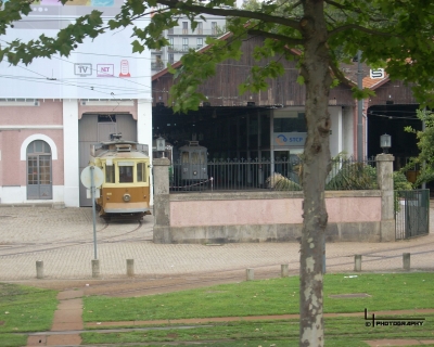Lluelmo_up12