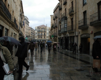 Lluelmo_up78