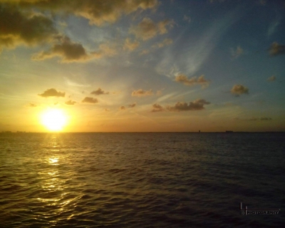 Lluelmo_ap82