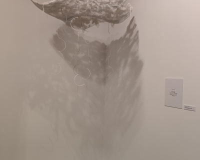 IMG20211031130953