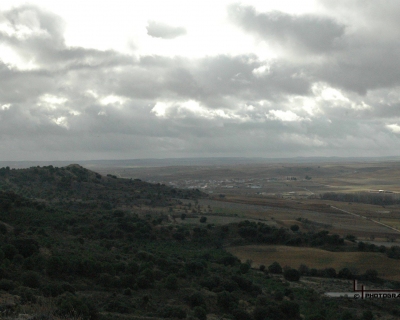 Lluelmo_np19