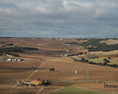 Lluelmo_np21
