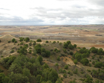 Lluelmo_np20