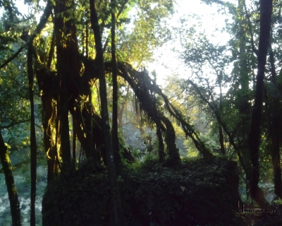 Lluelmo_np74