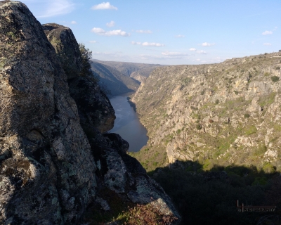 Lluelmo_np78