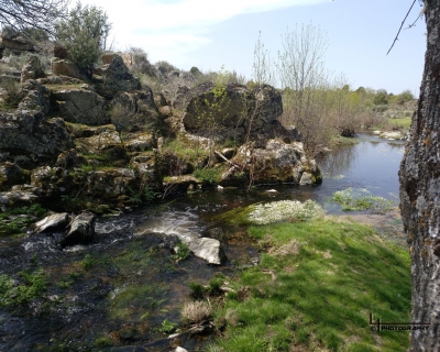 Lluelmo_np75