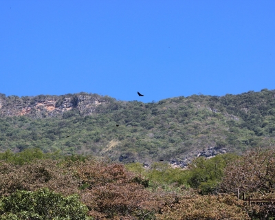 Lluelmo_np41