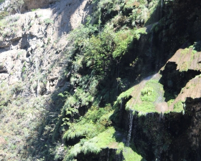 Lluelmo_np34