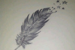 Pluma y estrellas. Pluma sobre papel. Junio de 2012 - Feather and stars.  Pen on paper. 125 x 80. October 2013