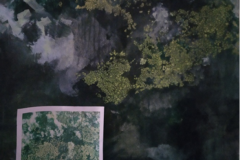 Líquenes y musgos de Arribes del Duero (Inacabada), 60x80. Acrílico sobre lienzo. Octubre, 2018 - Lichens and mosses of Arribes del Duero (Unfinished), 60x80. Acrylic on canvas. October, 2018